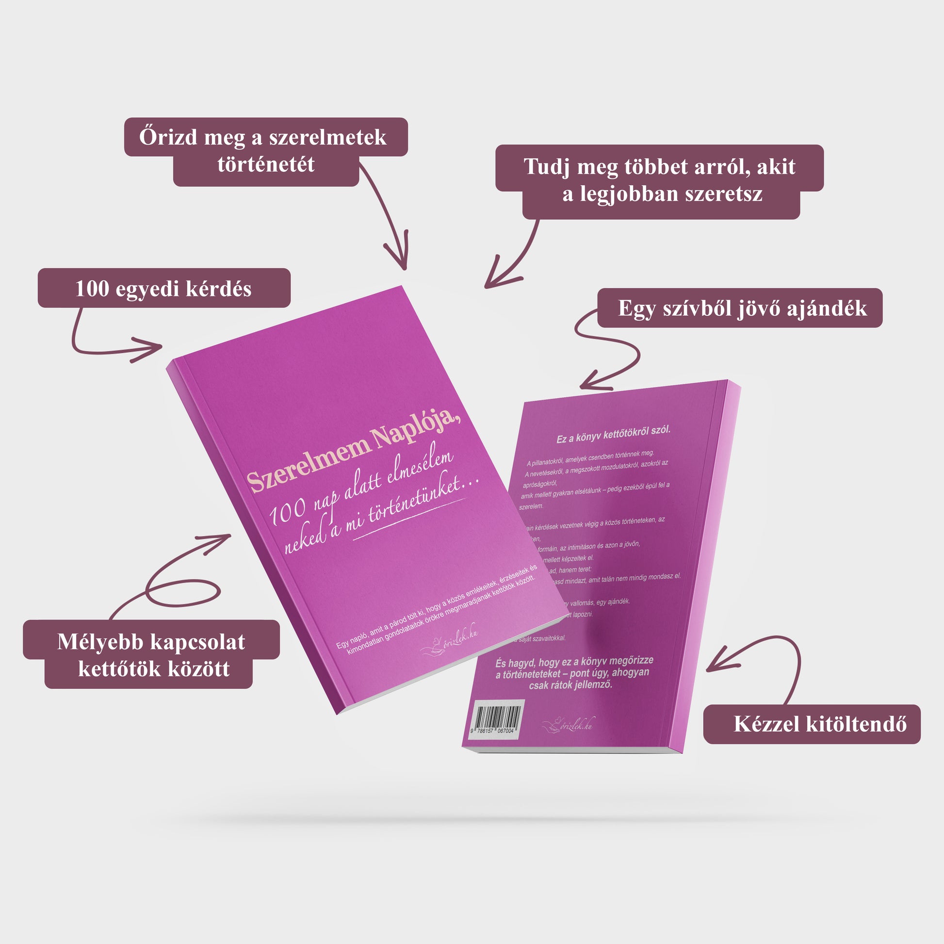 Szerelmem Naplója : 100 nap alatt elmesélem neked a mi történetünket